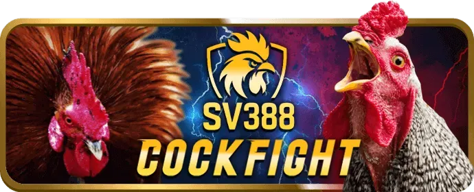 Hỗ trợ khách hàng 24/7 okkingcom casino