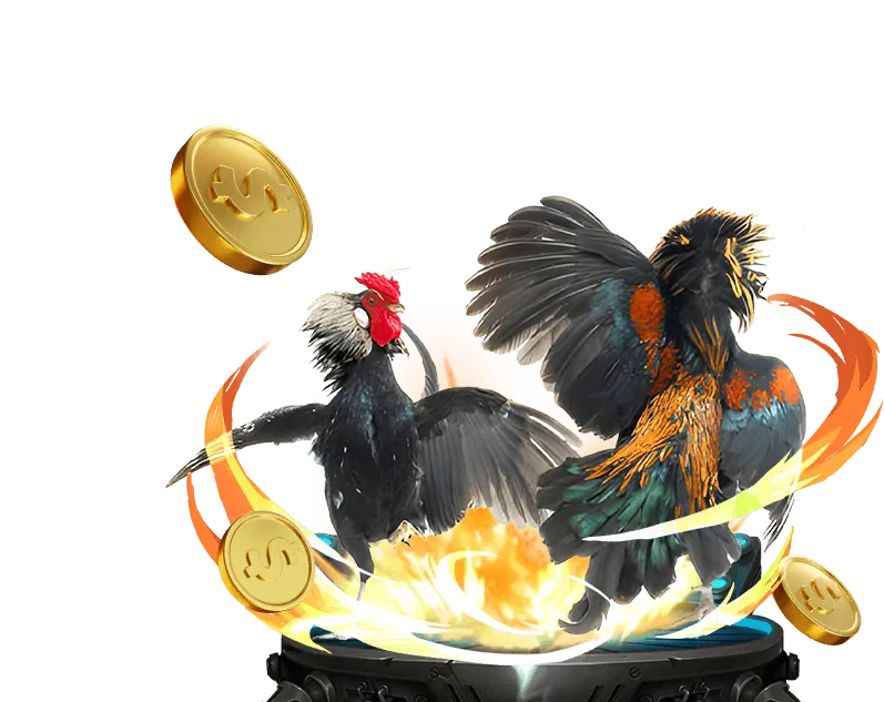 Hình ảnh các chương trình khuyến mãi độc quyền tại okkingcom casino